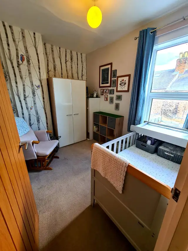 Child's room with tree wallpaper and a bright window